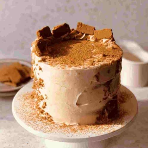 Biscoff Cookie Butter Cake: Easy Dessert Recipe for Every Occasion