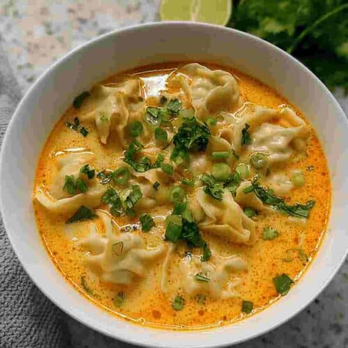 Delicious Curry Dumpling Soup